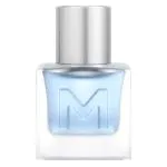 Ice Touch Man 2014 Eau de Toilette für Herren 30 ml