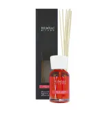 Mela & Cannella Aroma-Diffuser 100 ml