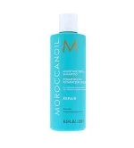 Moisture Repair Shampoo regenerierendes Shampoo 250 ml