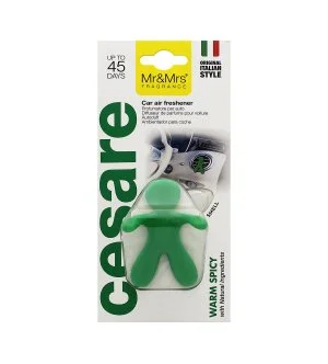 Mr&Mrs Fragrance Cesare Warm Spicy Autoduft grün