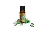 Natasha Mischung ätherischer Öle (10 ml) - Inspiration und Konzentration