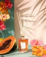 Ibisco Stäbchen 100 ml Raumduft-Tfu