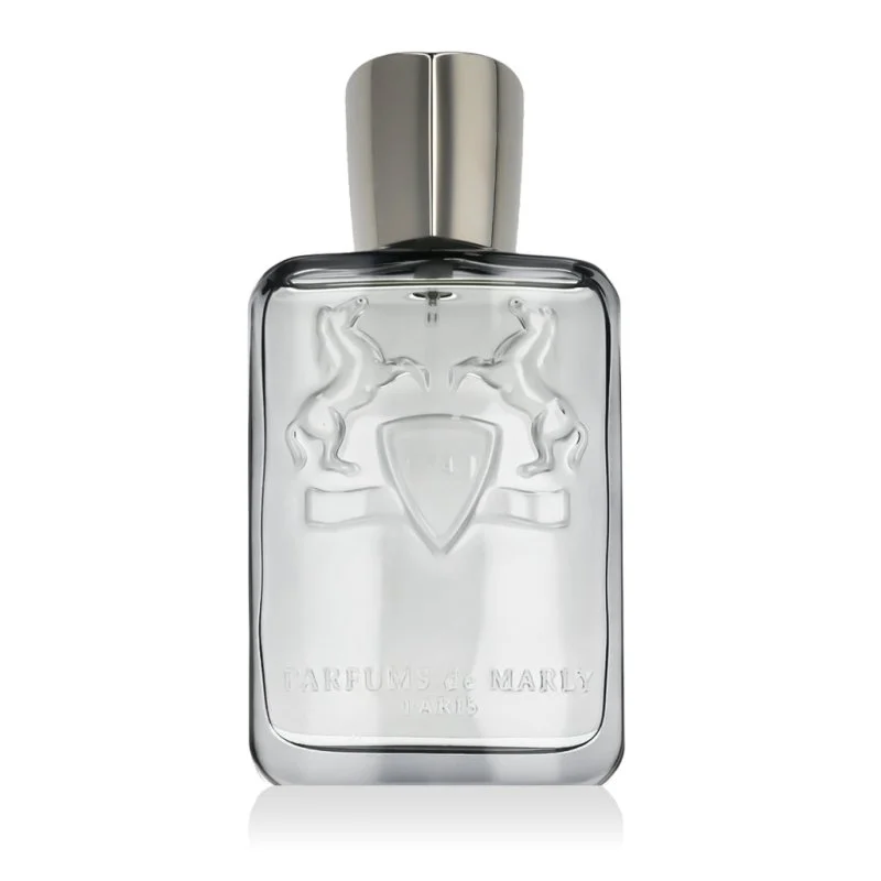 Castley Eau de Parfum für Herren 125 ml