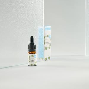 Gesichtsserum - Gotu Kola (Asiatische Nabelpflanze) 10ml