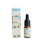Kvitok Gesichtsserum - Gotu Kola (Asiatische Nabelpflanze) 10ml