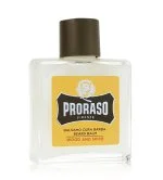 Wood And Spice Bartbalsam 100 ml