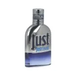 Just Cavalli Him 2013 Eau de Toilette für Herren 30 ml
