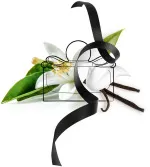 Signorina Misteriosa Eau de Parfum für Damen 100 ml