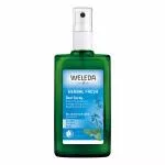 Weleda Salbei Deodorant 100ml