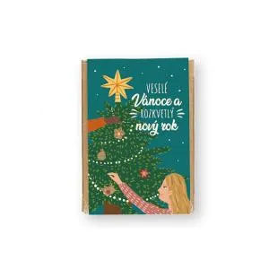 Blossombs Saatgutbomben - Mini-Geschenkset - Magische Weihnachten (4 Stück)