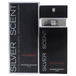 Silver Scent Intense Eau de Toilette für Herren 100 ml