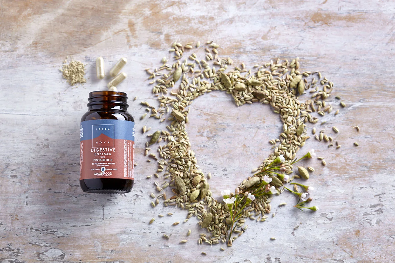 Terranova Health Verdauungsenzyme & Probiotika (50 Kapseln) - angereichert mit Fenchel, Ingwer und Klette
