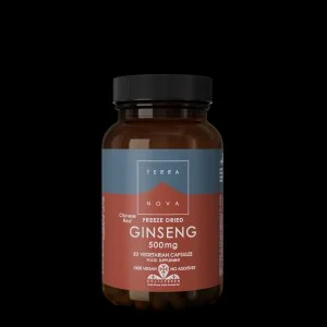 Terranova Health Chinesischer roter Ginseng, gefriergetrocknet, BIO (50 Kapseln) - unterstützt das Immunsystem