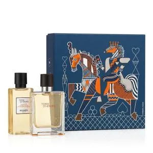 Hermes Terre D'Hermès 50 ml + SG Eau de Toilette für Herren