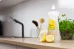 Tierra Verde Geschirrspülgel mit Bio-Zitronenöl (1 l)