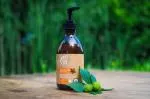 Tierra Verde Kastanien-Shampoo zur Stärkung der Haare mit Orange (230 ml)