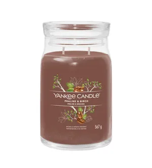 Yankee Candle Praline & Birch Signature Kerze groß 567 g