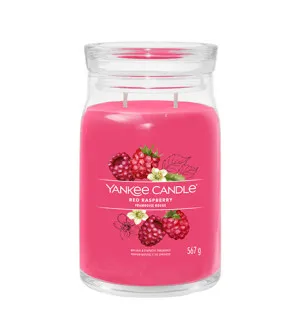 Yankee Candle Red Raspberry Signature Kerze groß 567 g
