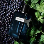 Y Intense Eau de Parfum für Männer 60 ml