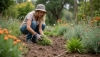 # Invasive Pflanzen im Garten und wie man sie loswird