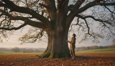 Was uns ein einzelner Baum über den Rhythmus der Natur und des Lebens lehrt