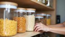 # Wie man Ameisen in der Wohnung oder im Haus mit natürlichen Methoden und Prävention loswird